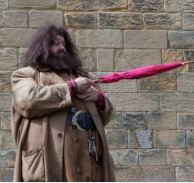 character hagrid at hogwarts 